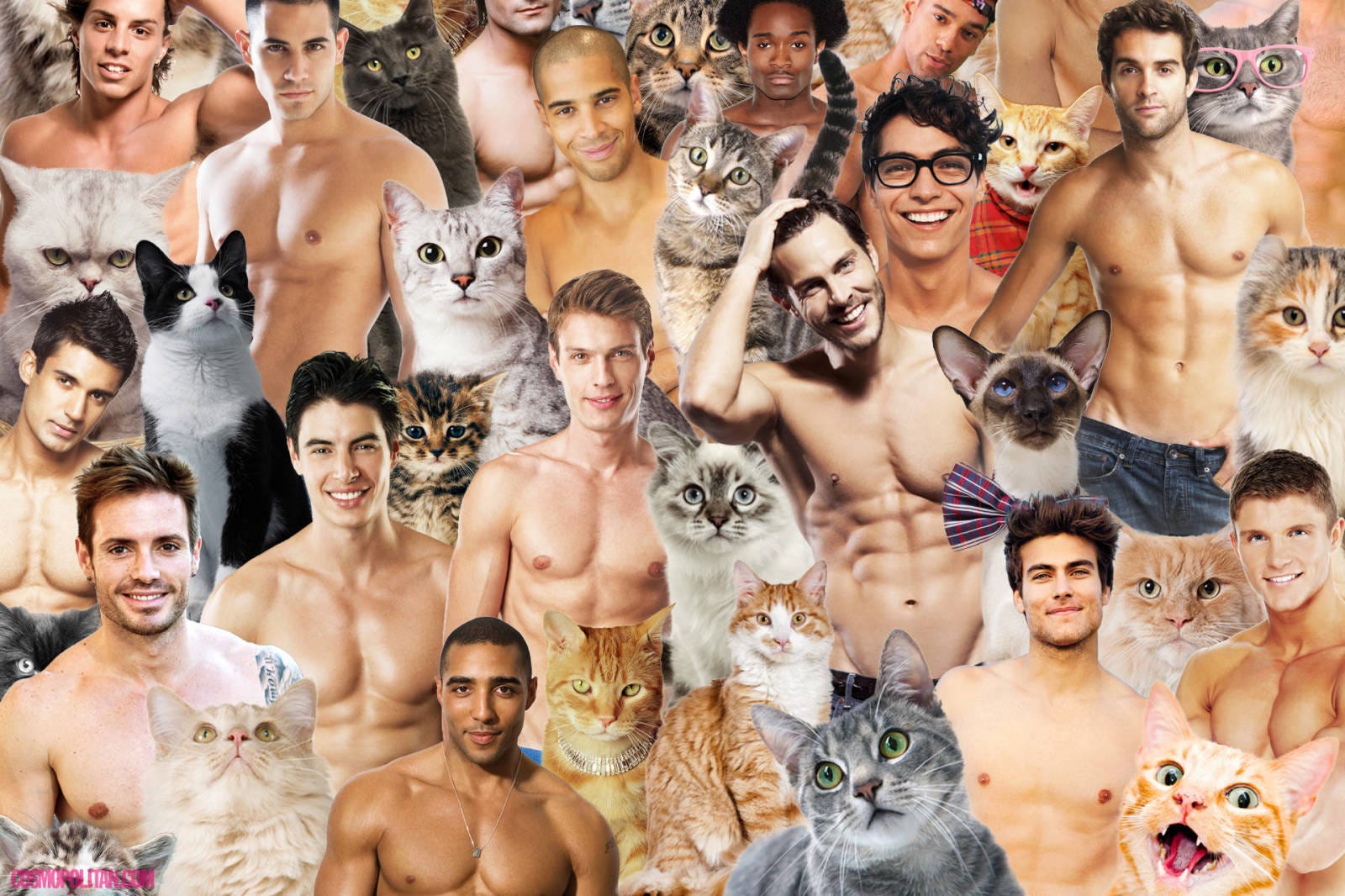 7 hot guys